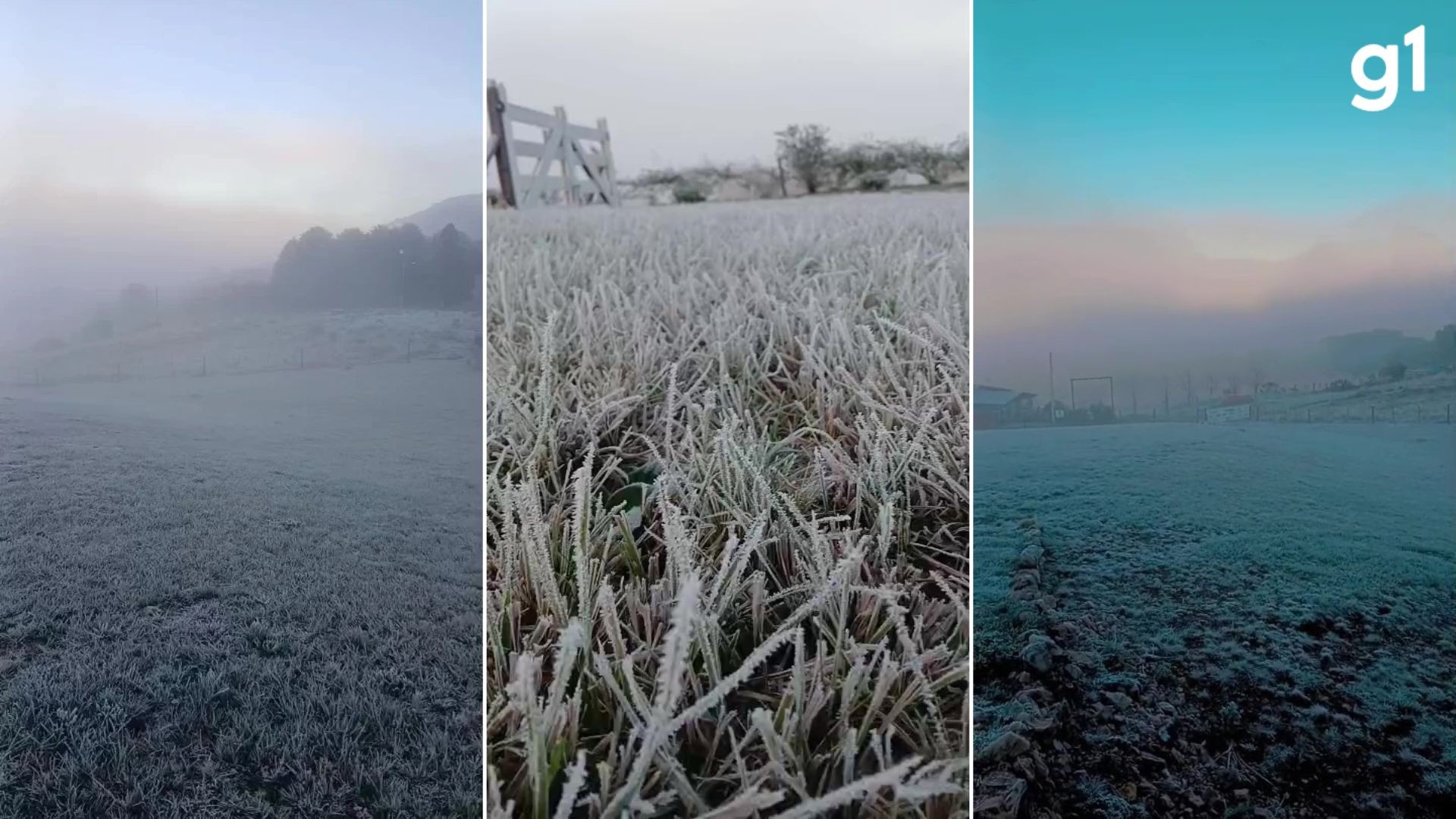 Rio Grande do Sul enfrenta domingo gelado com geada e marcas de até -3,5°C
